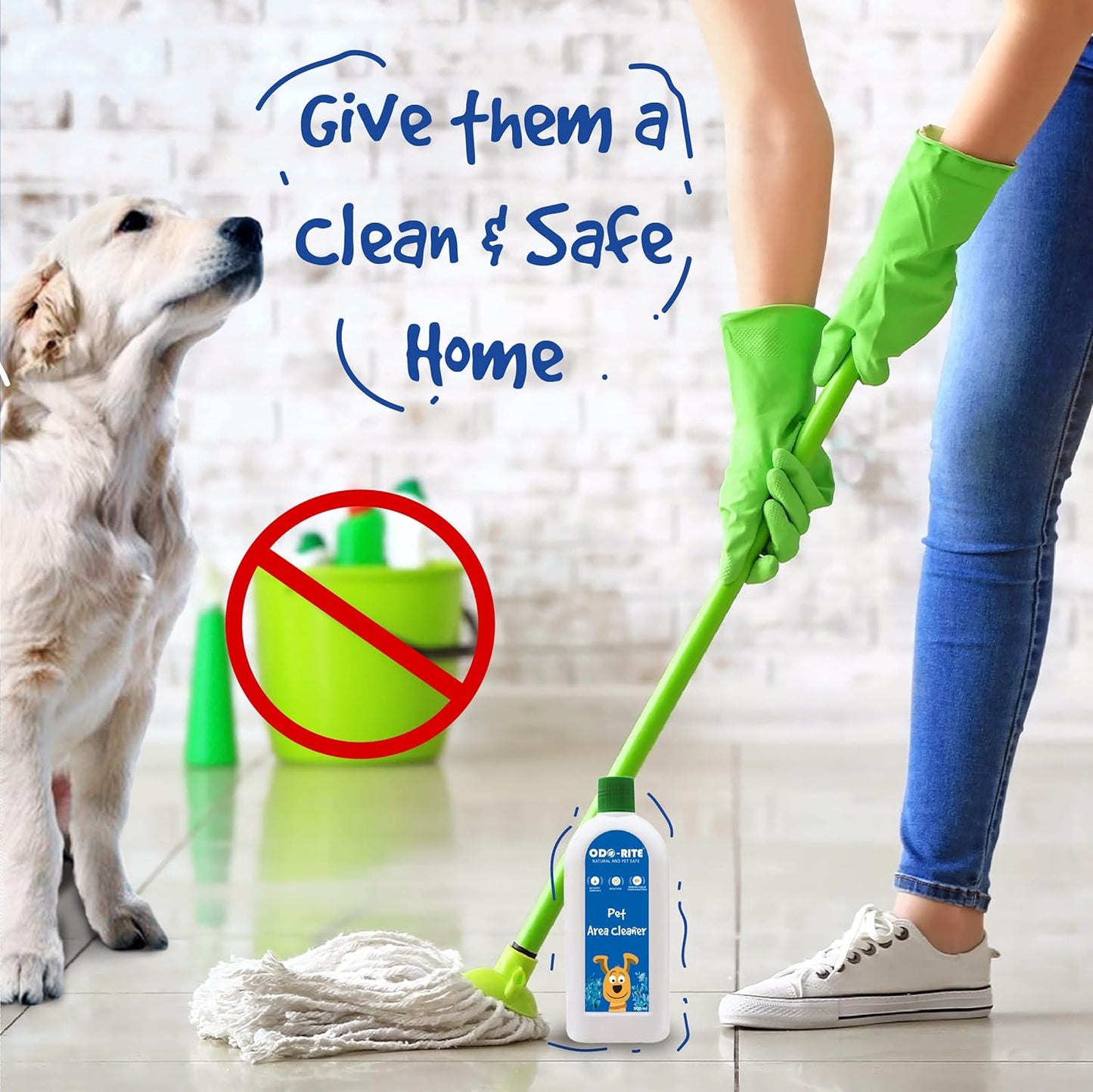 ODO-RITE Pet Area Cleaner/Kennel Wash/Kennel Cleaner/Pet Floor Cleaner/Bio-Technological Pet Floor Cleaner/Natural/Pet & Child Safe Floor Cleaner (500 ml)